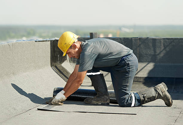 Best Specialized Insulation Services in Nicollet, MN