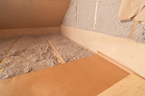 Best Eco-Friendly Insulation in Nicollet, MN