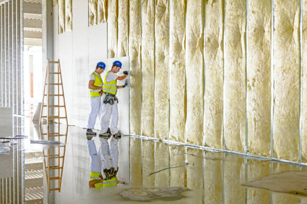 Types of Insulation We Offer in Nicollet, MN